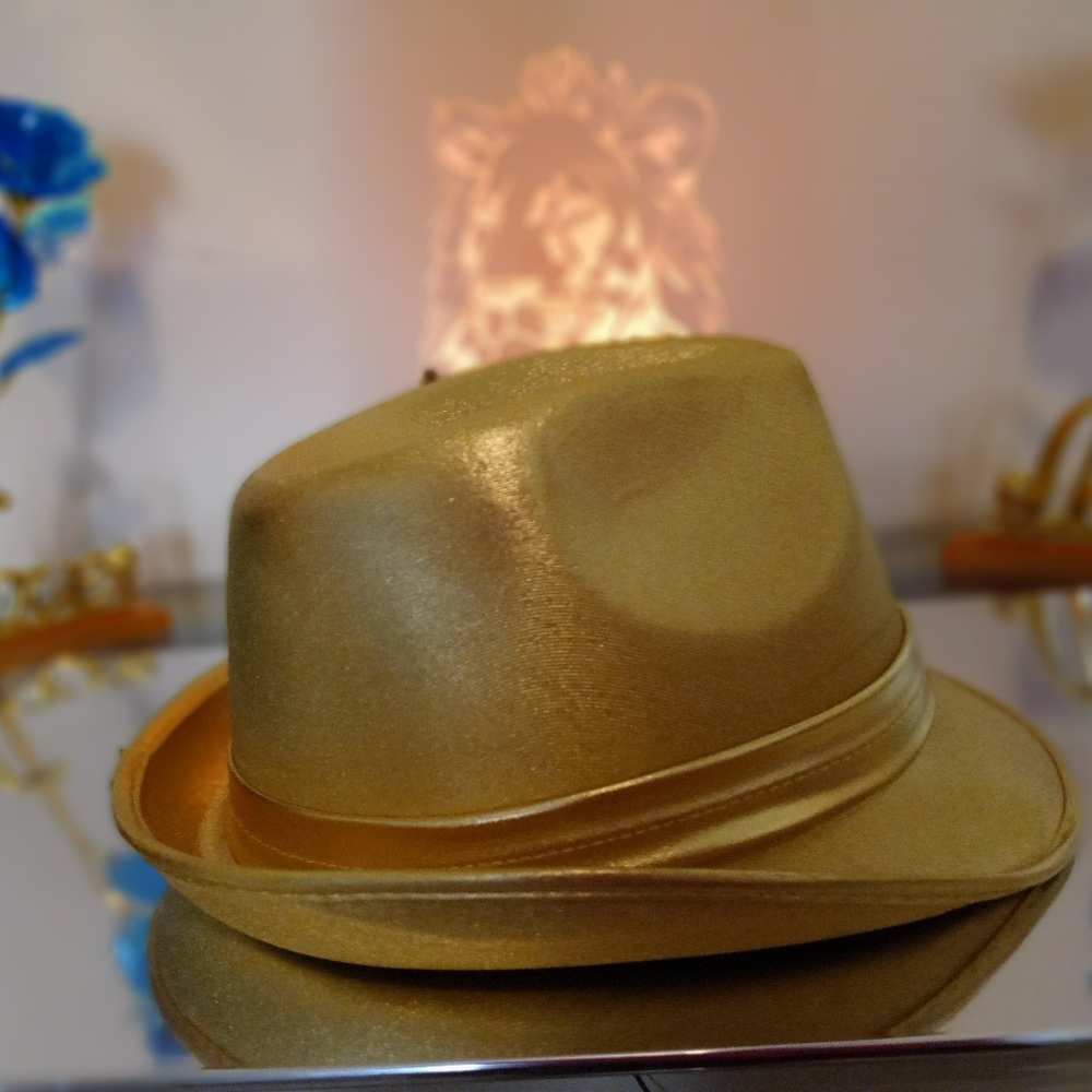 Fedoras - Picture 4 of 6